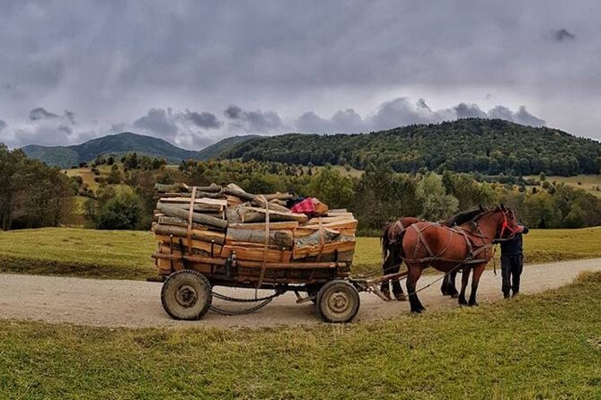 Private Day Tour to Historical Villages in Sinaia - Price and Value: Where the $178.92 Makes Sense