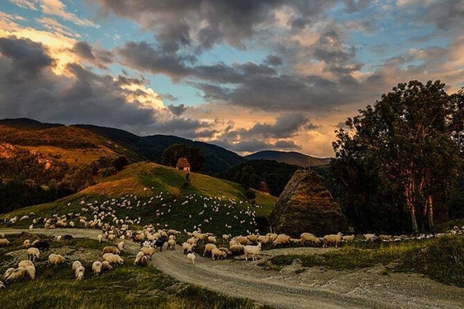 Private Day Tour to Historical Villages in Sinaia - Who Should Book This Sinaia Day Trip
