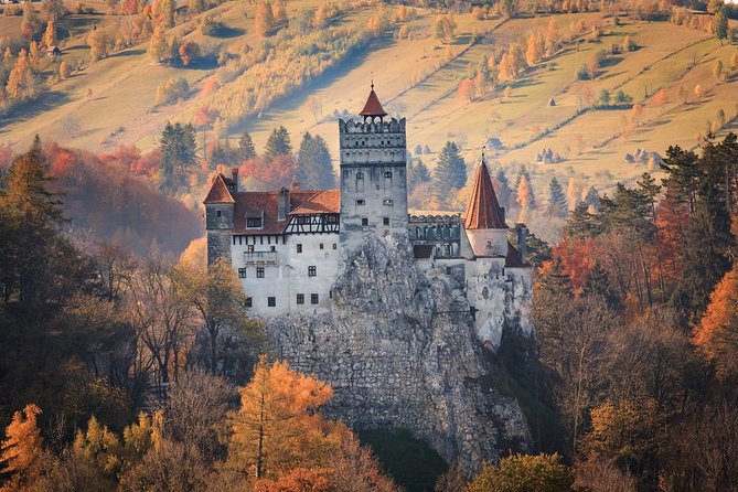 Private Day Trip to Dracula's Castle from Bucharest - Who this private Dracula day trip fits best