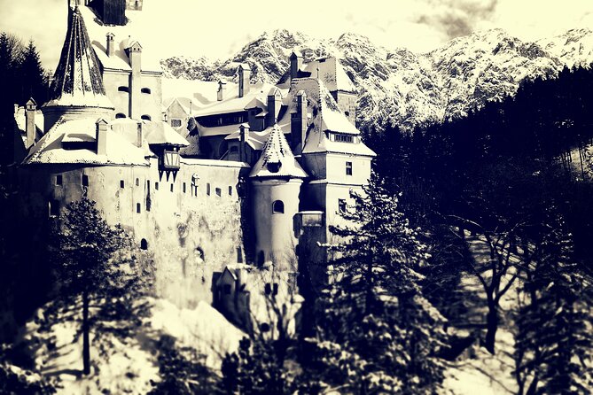 Private Day Trip to Peles and Bran from Bucharest - Price and value: what costs extra, and what you get for your money