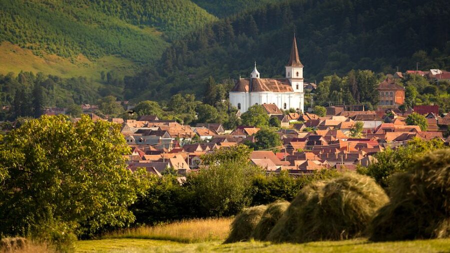 Private Day Trip to Sibiu from Bucharest - Olt River Valley to Cozia Monastery, Medieval Romania Begins
