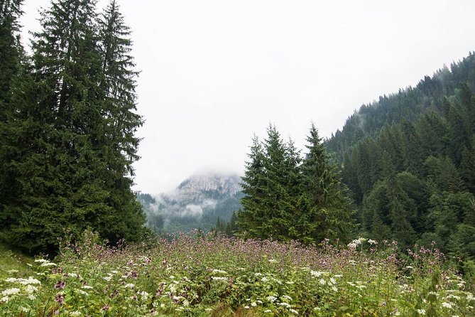 Private Daytrip Hike to Bucegi Mountains - Bucharest to Bucegi, with the comfort you actually need