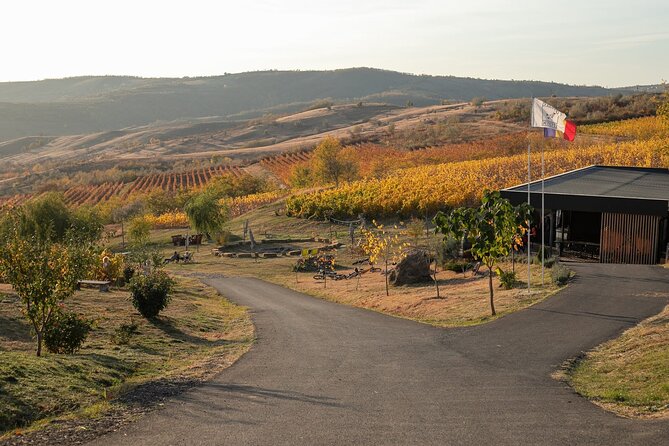 Private Tasting Expedition Along Romania’s Most Famous Wine Route - Key things to know before you go