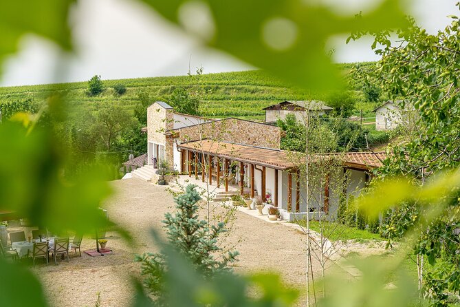 Private Tasting Expedition Along Romania’s Most Famous Wine Route - Stop 1: Dealu Mare vineyard and your first guided tasting