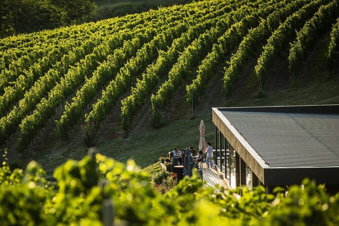 Private Tasting Expedition Along Romania’s Most Famous Wine Route - Private pickup and a small-group feel that matters