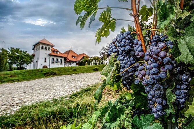 Private Tour to Salt Mine, Lunch at Winery and Dracula Grave - Chitorani and Casa Seciu: a winery break that is more than fuel