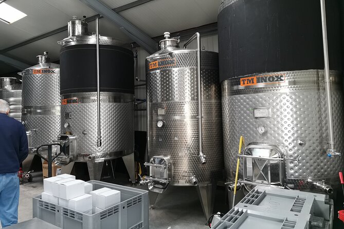 Private Wine Tasting in Cellar and the Winemaking process - Why this Bucharest-to-wine-country day feels worth it