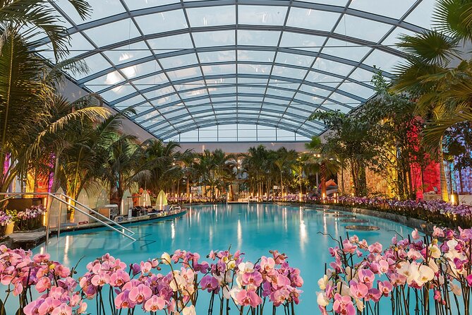 Relax and Fun at Thermal Spa Bucharest (Admission Ticket) - Key takeaways before you go