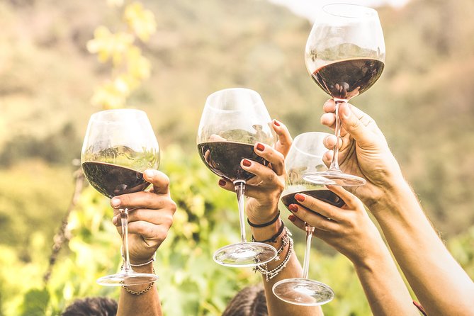 Romanian Wine Tasting - Key highlights that make this tour worth your time