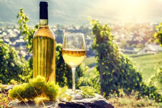 Romanian Wine Tasting - Stop 1 at LacertA: wine production and the story behind the glass
