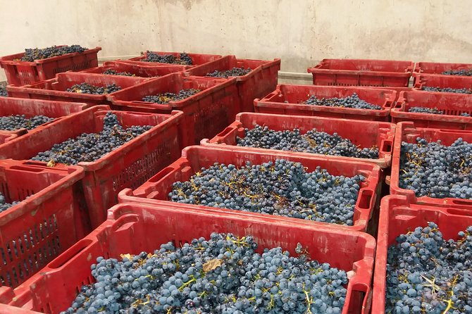 Salt Mine, the Muddy Volcanoes and Wine Tasting Private Day Tour from Bucharest! - Lacerta Winery Wine Tasting on Weekend Days