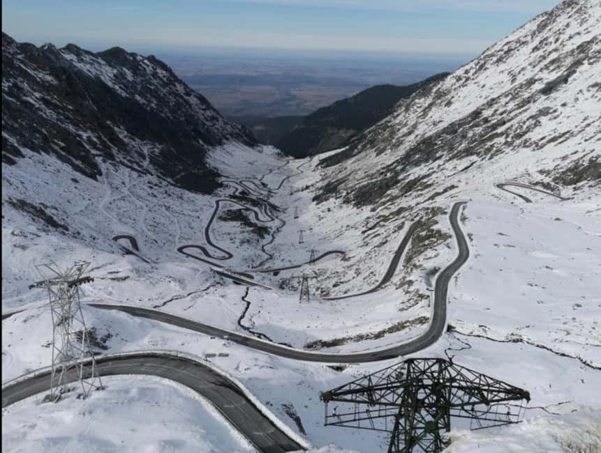 Small group Bears 'Safari' on Transfăgărășan -max 7 tourists - Key things to look forward to on this bear safari