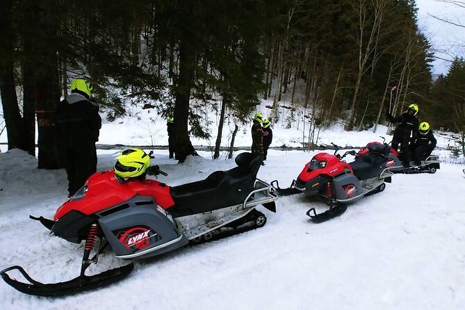 Snowmobiles, Sky Lift & Winter Sports - Private Tour - Sky Lift and Winter Sports Time: A Change of Pace
