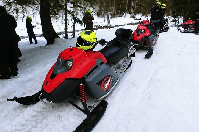 Snowmobiles, Sky Lift & Winter Sports - Private Tour - Private Tour Value: Just Your Group, No Mixing
