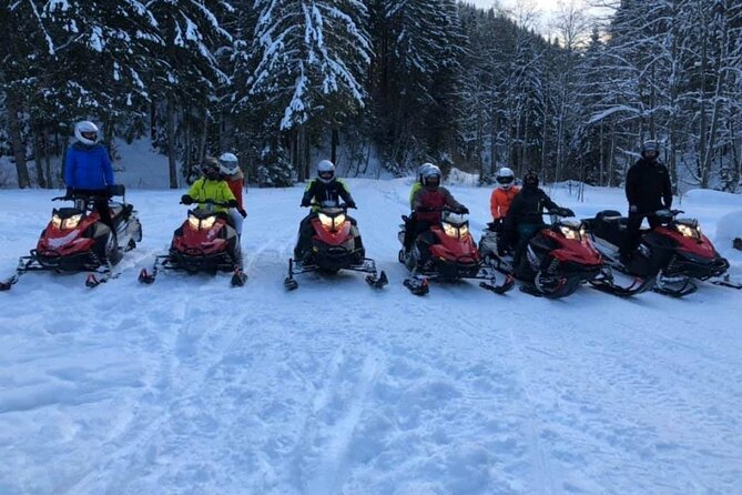 Snowmobiles, Sky Lift & Winter Sports - Private Tour - When Weather Limits the Ride, You Have Options