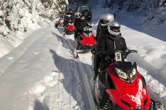 SnowMobiles Tour in Carpathian Mountains - Peles Castle stop: a strong sightseeing anchor before the adrenaline