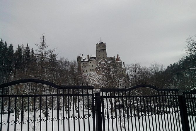 The Castles from the Carpathian Mountains! The Fixers Private Tour - Stop 4: Brasov Old Town, Black Church, and Rope Street