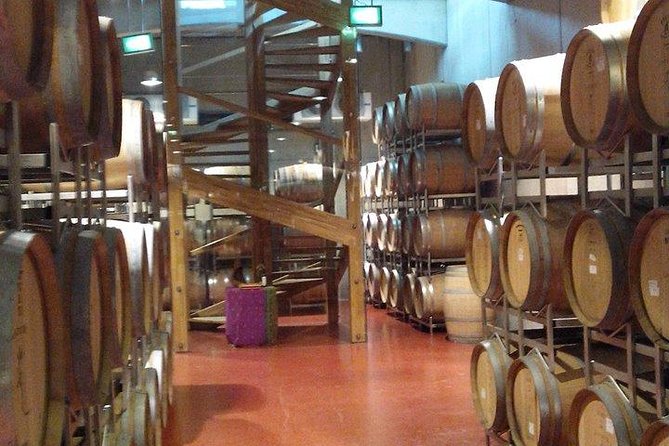 The Salt Mines, The Winery, The Muddy Volcanoes! The Fixers Private Tour - LacertA Winery near Buzau: countryside tasting with a real-world pace