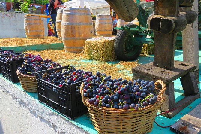 The wine route by bike - Bellu Manor: a manor-museum stop that sets the tone