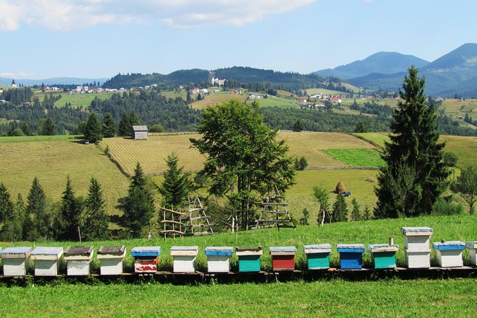 The wine route by bike - Crama Serve Ceptura: French investment, Romanian acclaim