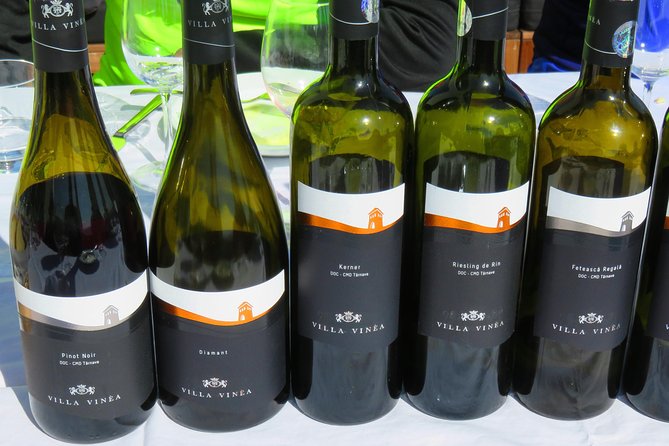 The wine route by bike - Who this bike wine route fits best