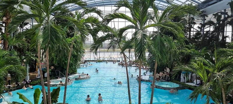 Therme:Spa Day at the biggest oasis of Relaxation《Bucharest》 - Getting to Therme: premium pickup that keeps things calm