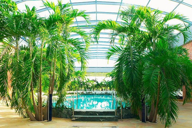 Therme Spa Ultimate Experience | Transfer - Full Access All Areas - Price and value: why $59 can make sense