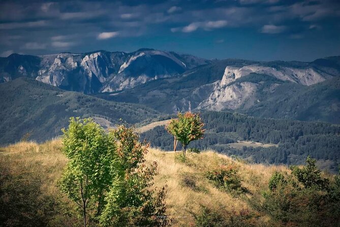 Transfer Bucharest -Brasov with Targoviste and Bran Castle visits - Timing, traffic reality, and what 10 hours feels like