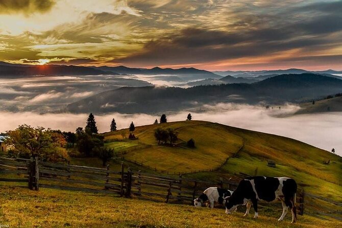 Transfer Bucharest -Brasov with Targoviste and Bran Castle visits - Price and value: how $190.81 fits a private day