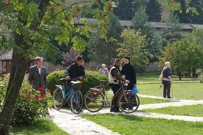 Transylvania & Bucovina Private Tour - 6 days - Hotels, pickup, and why private transportation changes the experience