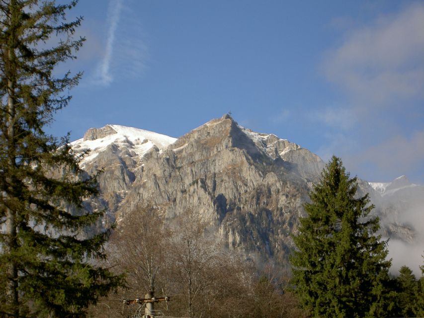 Transylvania: Cultural Full-Day Trip by Minivan - Escaping Bucharest and riding into the Carpathians