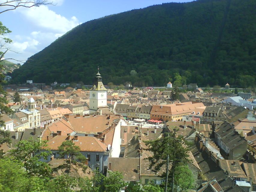 Transylvania: Cultural Full-Day Trip by Minivan - Who this tour fits best, and who might want something else