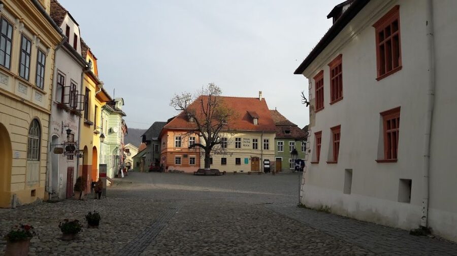 Transylvania: Dracula's Castle and Birthplace Tour - Dracula Country, Done Like a Road Trip (Not a Speed Run)