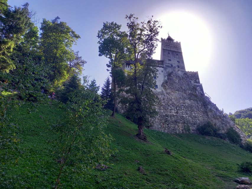 Transylvania: Dracula's Castle and Birthplace Tour - Price and Value: Why $175 Can Be a Fair Deal Here
