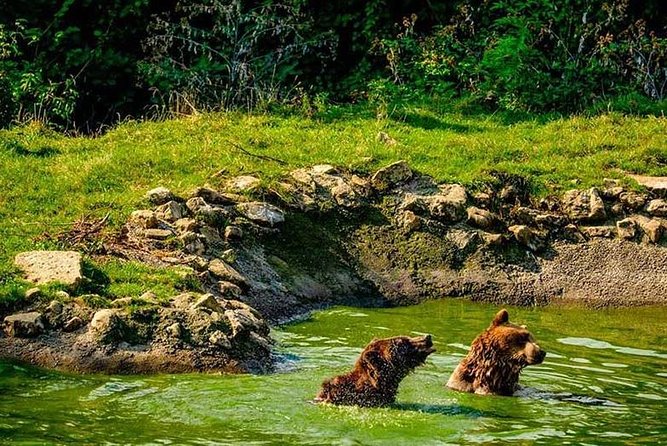 Transylvania with Dracula Castle, Bear Sanctuary and Brasov - Where Aventura Parc can fit into the day