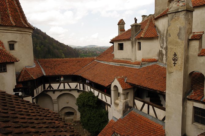 Transylvania with Dracula Castle, Bear Sanctuary and Brasov - Price and value: is $155 fair for this kind of day?