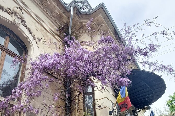 Unique Tour of Hidden Bucharest - Snacks and tea-house style breaks, plus how to handle food and drinks