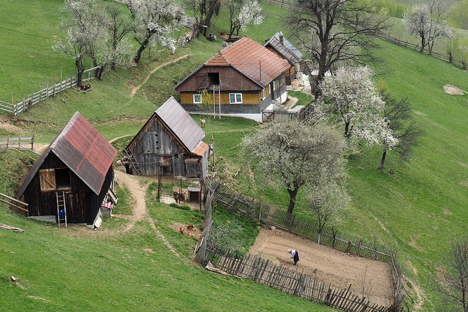 Village life in Transylvanian Carpathian mountains - 8 days - Key highlights you should care about