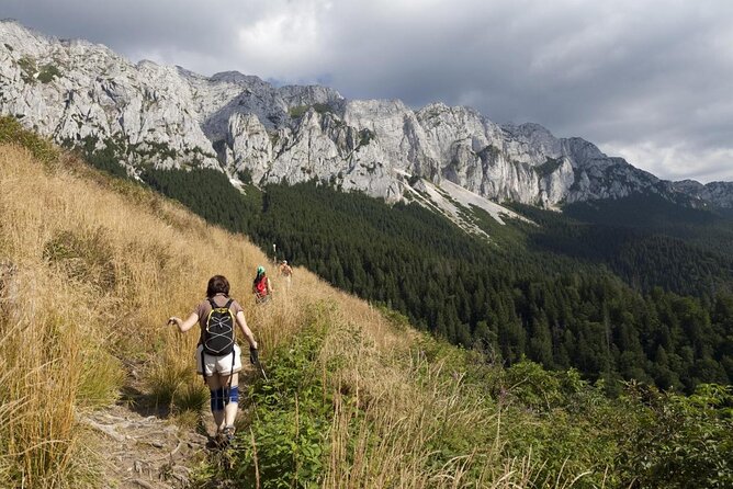 Village life in Transylvanian Carpathian mountains - 8 days - Transylvania village life: why this feels real, not touristy