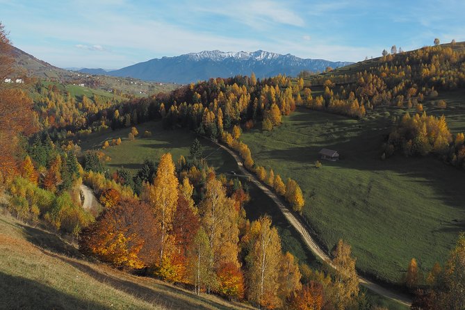 Village life in Transylvanian Carpathian mountains - 8 days - Piatra Craiului days: Zarnesti Gorges to Curmatura hut