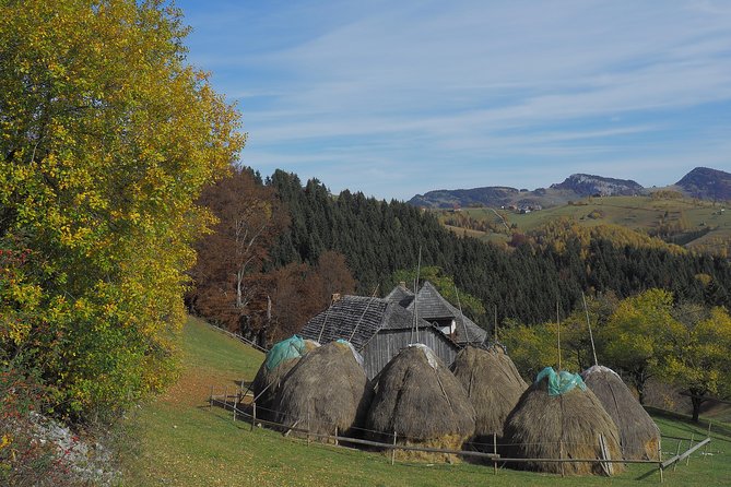 Village life in Transylvanian Carpathian mountains - 8 days - Village hopping through Fundata and Fundatica