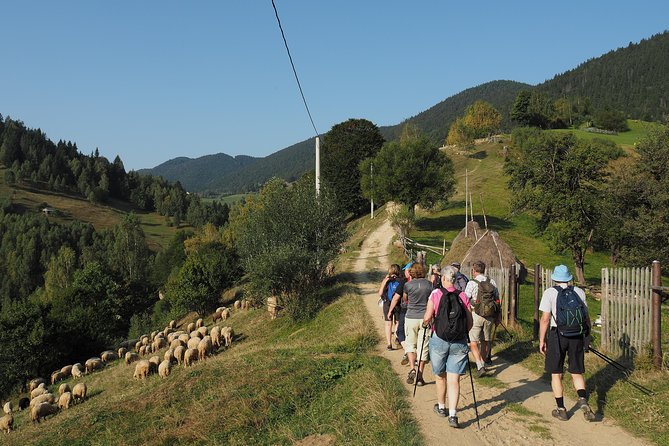 Village life in Transylvanian Carpathian mountains - 8 days - Bucegi Natural Park: Devil’s Mill and sheep farms