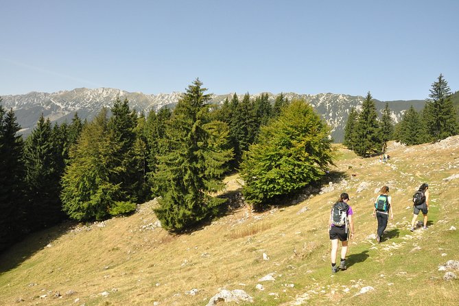 Village life in Transylvanian Carpathian mountains - 8 days - Price and value: what you get for $2,291.64
