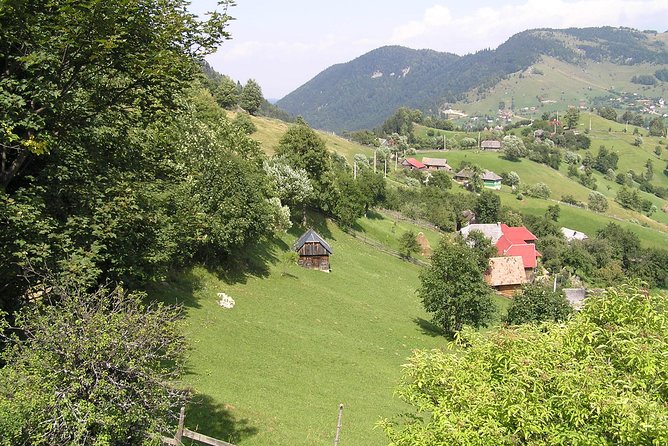 Village life in Transylvanian Carpathian mountains - 8 days - Bran Castle and your first walk to Magura