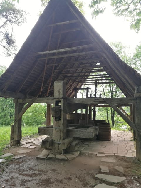 Village Museum Bucharest Guided Tour - First stop: Dimitrie Gusti National Village Museum on foot