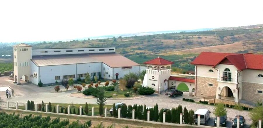 Winery touring & private wine tasting - one day private tour - Why This Bucharest Wine Day Feels Like a Countryside Reset