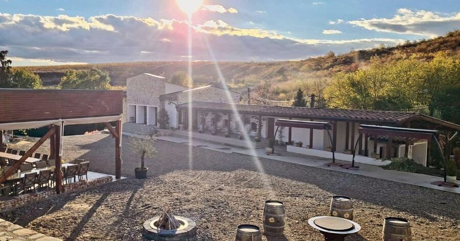 Winery touring & private wine tasting - one day private tour - The 250-Year-Old Wine Museum Stop That Sets the Context