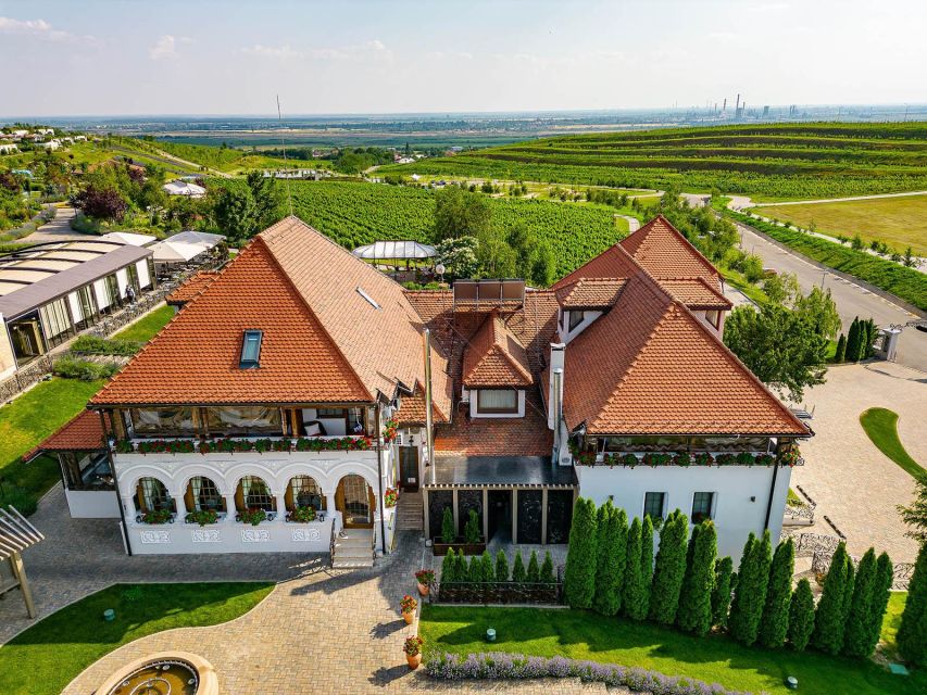 Winery touring & private wine tasting - one day private tour - Manor Lunch in the Vineyard: Where the Day Gets Comfortable